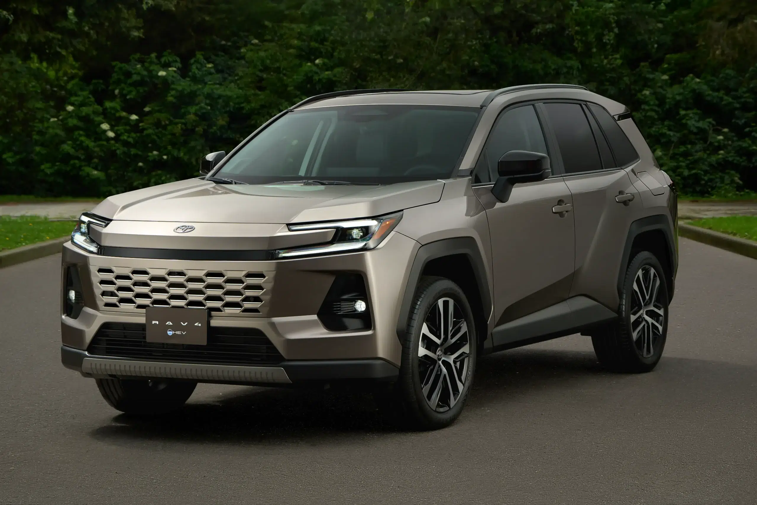 Front-three-quarter view of a silver Toyota RAV4 SUV on a paved road with green hedges in the background.