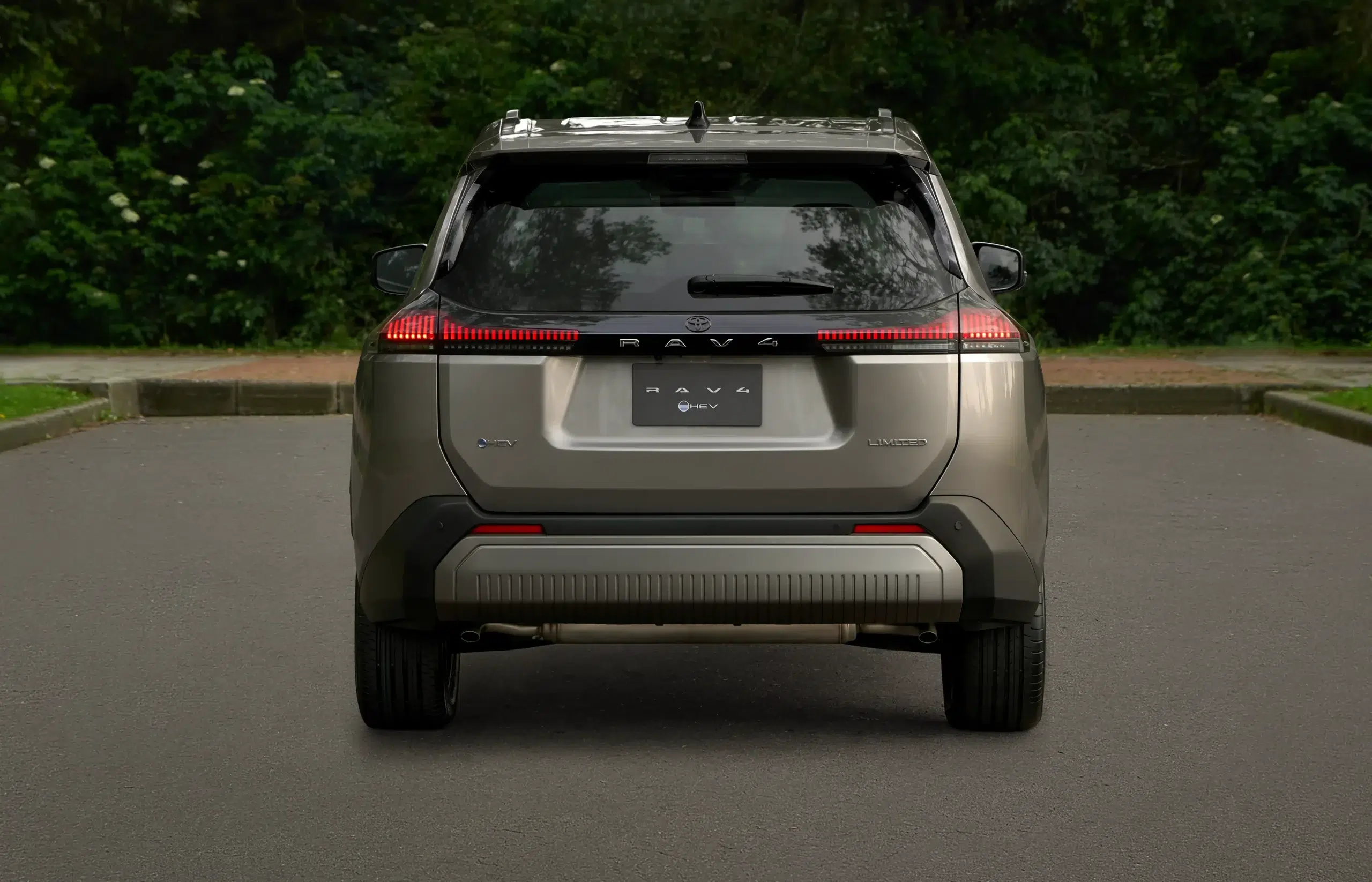 Rear view of a silver Toyota RAV4 SUV parked on a road with forest background, showing taillights and hatchback.